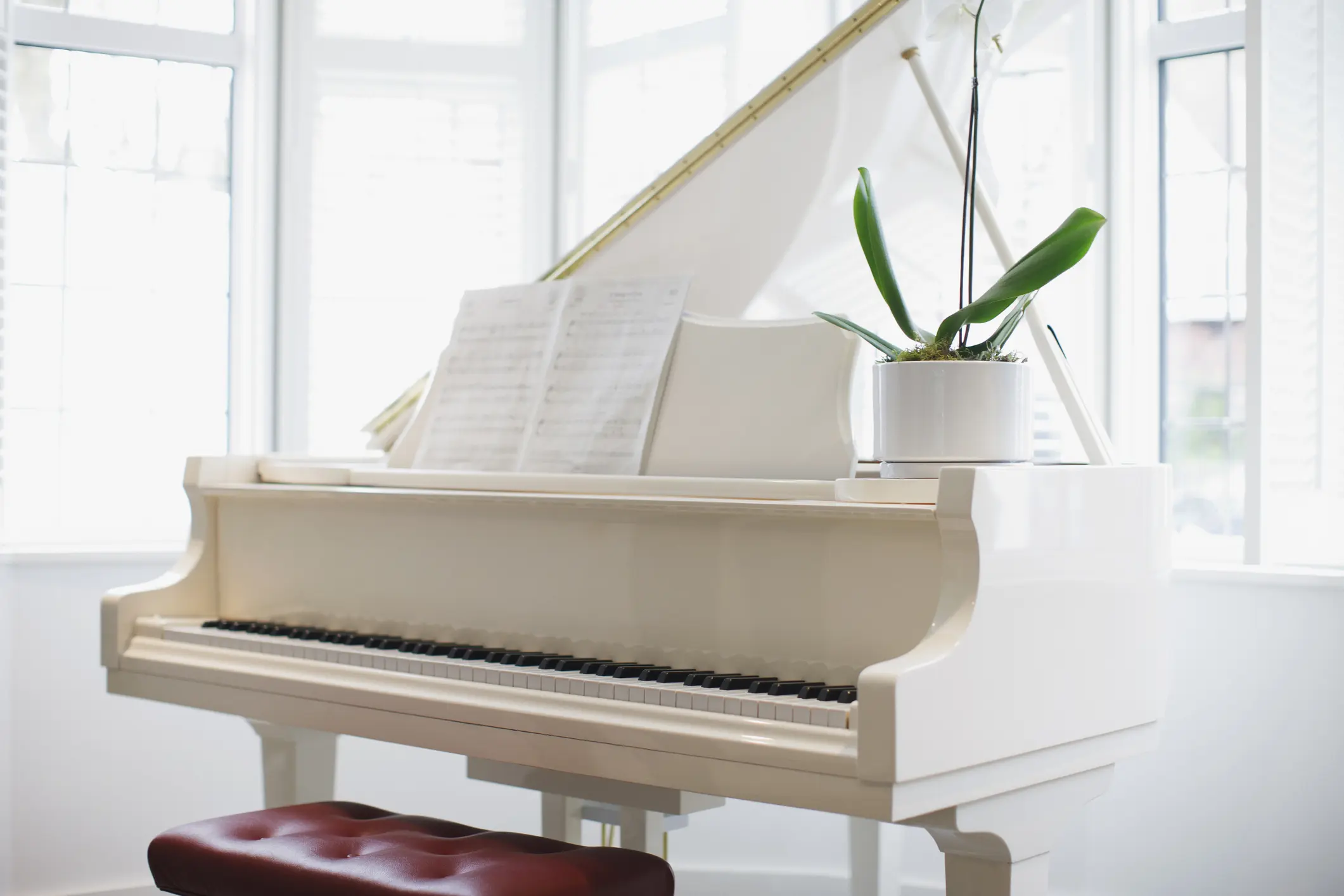 White grand piano